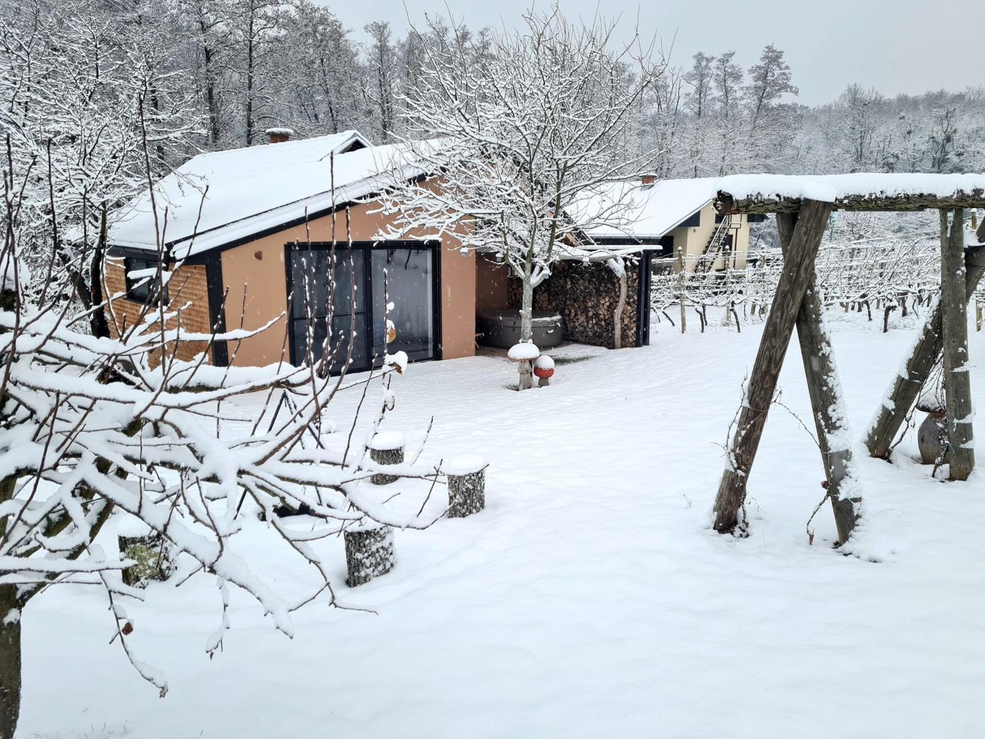 Gozdarjeva Hiska M&K Villa Dobrovnik Bagian luar foto