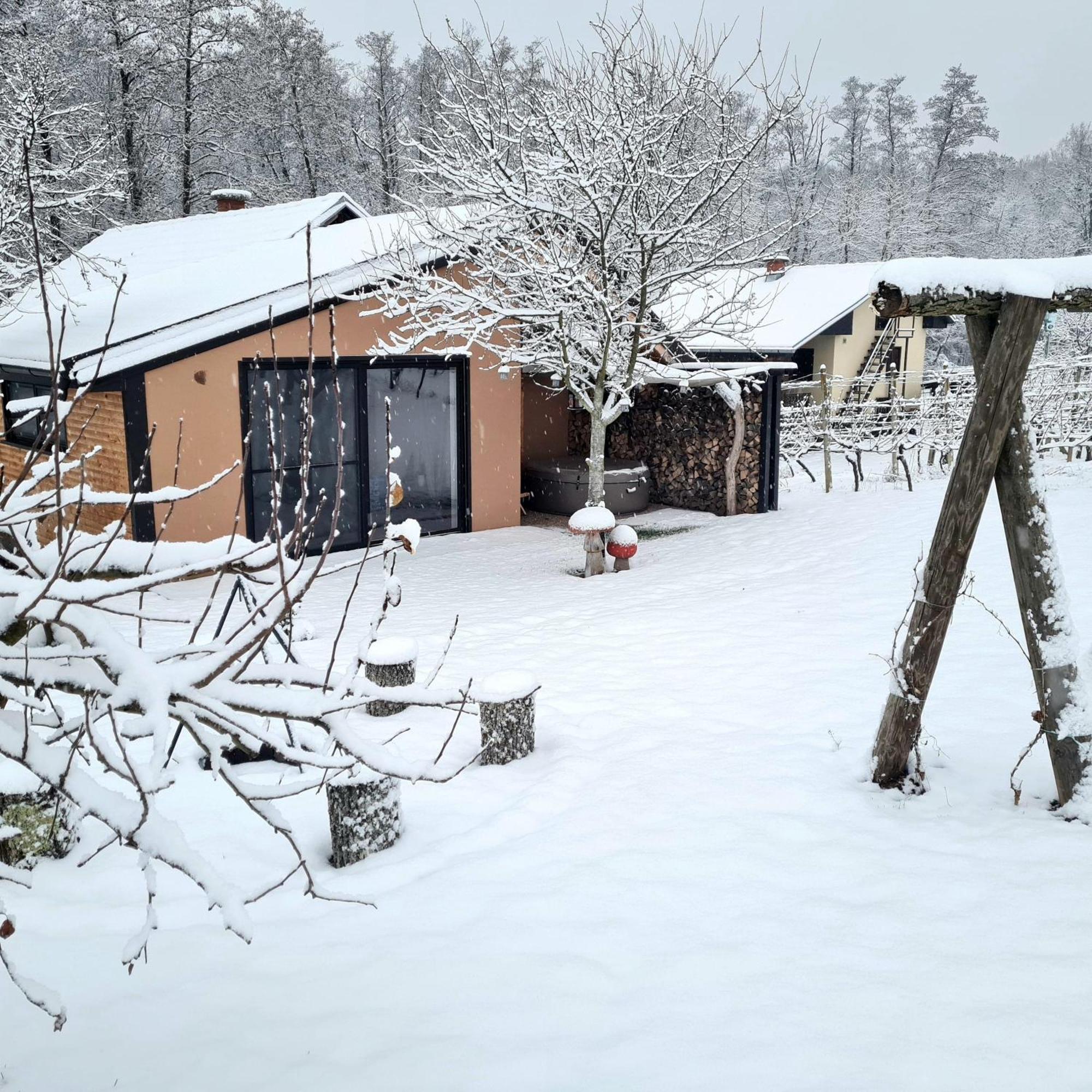 Gozdarjeva Hiska M&K Villa Dobrovnik Bagian luar foto